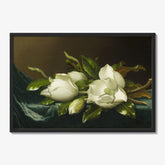 Magnolias on Light Blue Velvet Cloth by Martin Johnson Heade - thumbnail_1_bf_6738fe95746ff704b89f8759